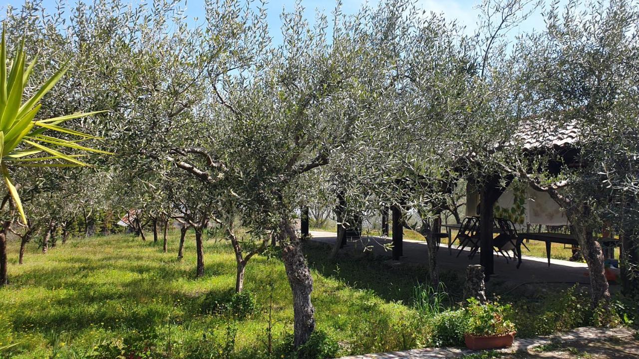 Beb Casale Pompei Rendine Villa Boscotrecase Buitenkant foto