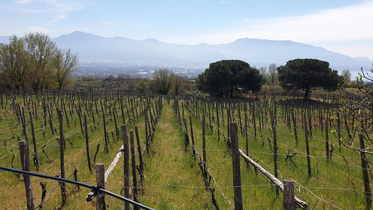 Beb Casale Pompei Rendine Villa Boscotrecase Buitenkant foto