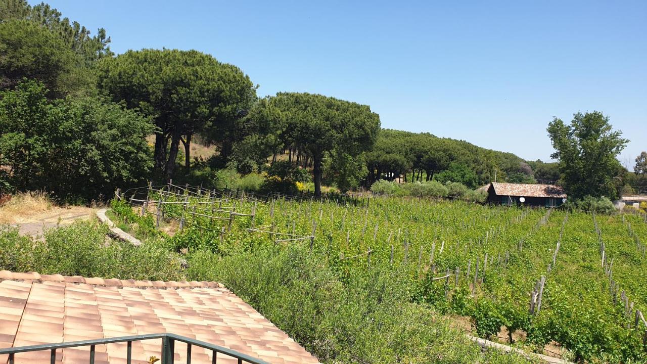 Beb Casale Pompei Rendine Villa Boscotrecase Buitenkant foto