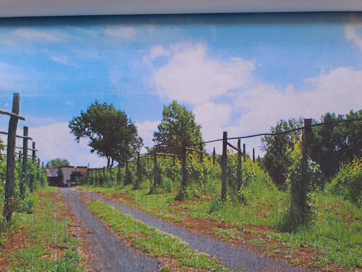 Beb Casale Pompei Rendine Villa Boscotrecase Buitenkant foto